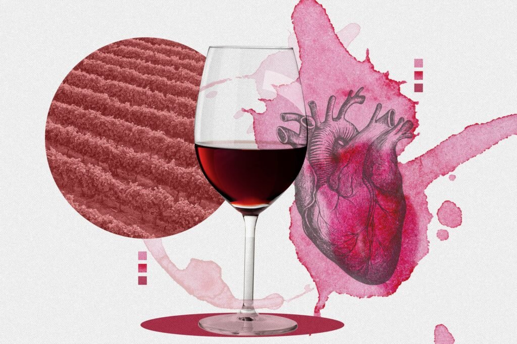 ¿En verdad una copa de vino al día es buena para la salud? Cómo ha cambiado la ciencia su postura sobre el alcohol